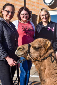 The three Bamesberger daughters - Angela, Trish, and Sarah - pose with a camel at the live nativity event.