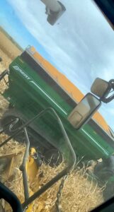 Sometimes we have to fill our grain carts level full, front to back! Our Brent grain cart couldn't hold another bushel on this load!
