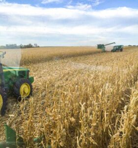 A front-row seat from one combine to another harvesting another corn crop.