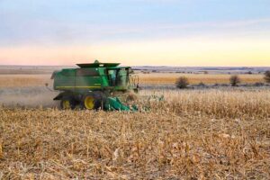Our combine makes another pass through a field of dryland corn.