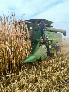 Phil stands on the ladder of his John Deere combine in a field of corn ready for harvest.