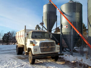 Our feed truck mixes a load of grain for the feeder cattle.
