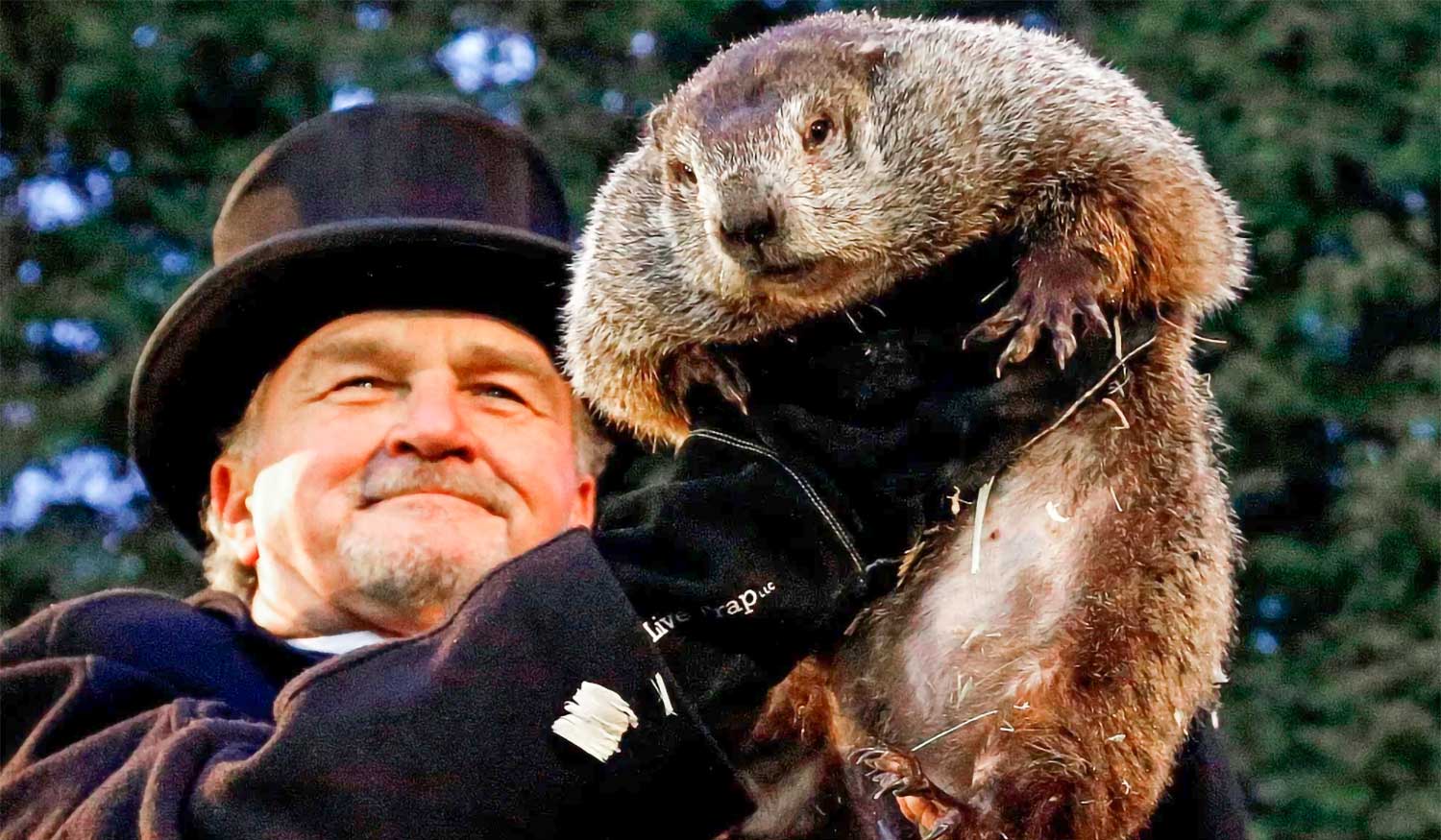 Groundhog Day is a sort of "tongue in cheek" celebration for the coming of spring, where the groundhog does - or doesn't - "see his shadow". So what is so important about a shadow? Read on.