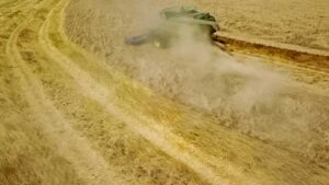 A drone captures our John Deere combine and Shelbourne wheat head cutting wheat.