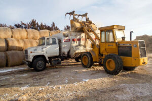 Loading the feed truck for another day of feeding.