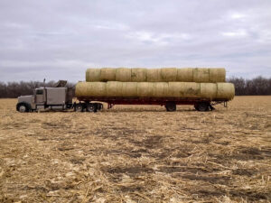 A semi load of bales sits on the edge of the field, ready to haul home.