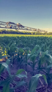 The sprayer boom hovers effortlessly over a growing field of corn.