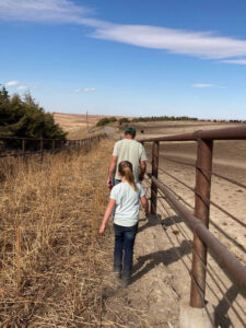 The little ones learn early on a cattle farm how to put in a hard day's work.