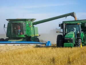 Our combine and grain cart unload "on the go" through a field of wheat.