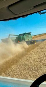 A view from the seat of a combine out the front window to another combine unloading its bin of wheat "on the go".