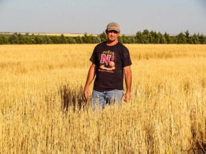 Phil stands in a field of tall wheat straw that has been harvested with a Shelbourne stripper head.