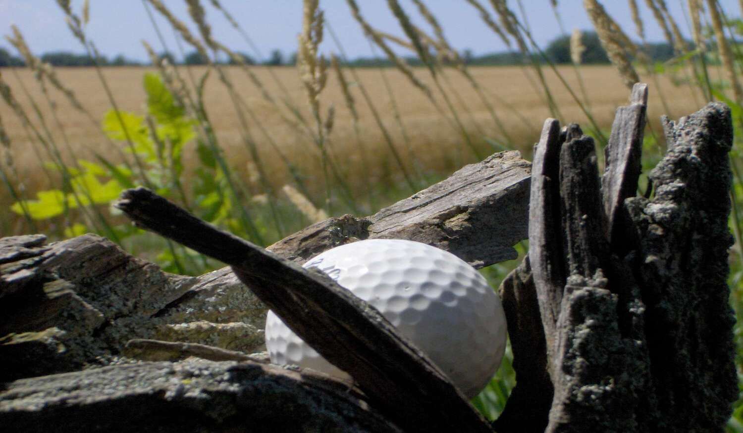 take a mulligan - a golf ball rests in a precarious place