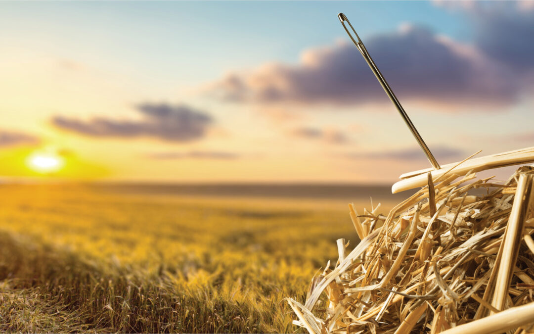 Needle In A Haystack