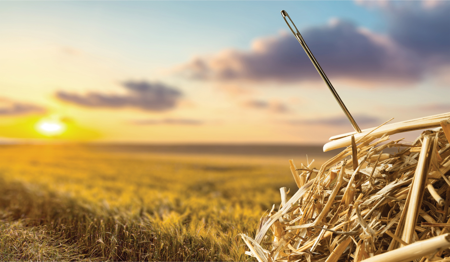 A needle in a haystack in front of an open field
