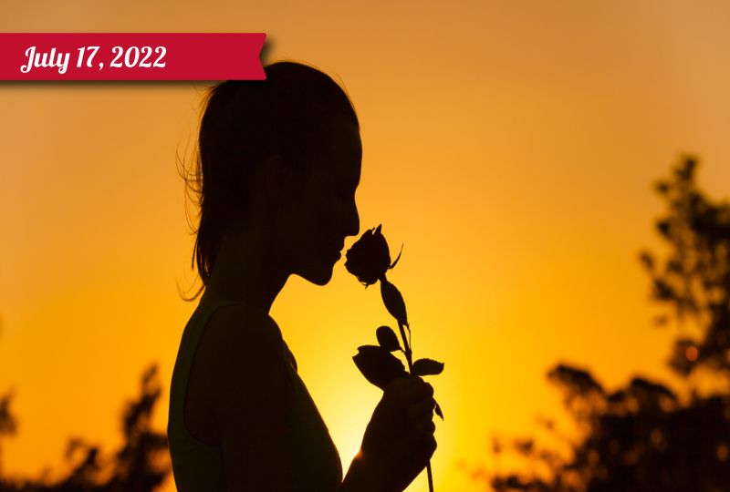 A woman in silhouette smells a rose
