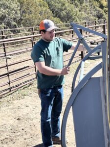 Trey Mousel, an employee at Bamesberger Farms, runs the controls of a calf cradle while working calves.